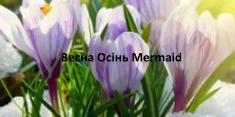 Mermaid - шкіряне жіноче взуття Весна Осінь