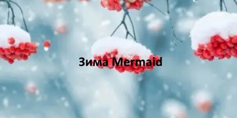 Mermaid - шкіряне жіноче взуття Зима